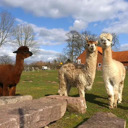 Alpaka-lodge Apartmán *