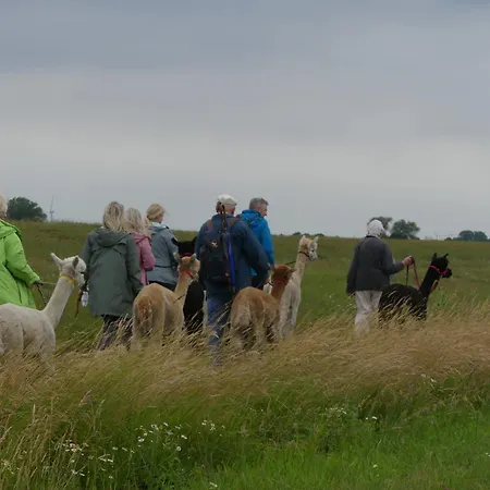 Alpaka-lodge Apartmán
