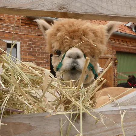 Alpaka-lodge Apartmán