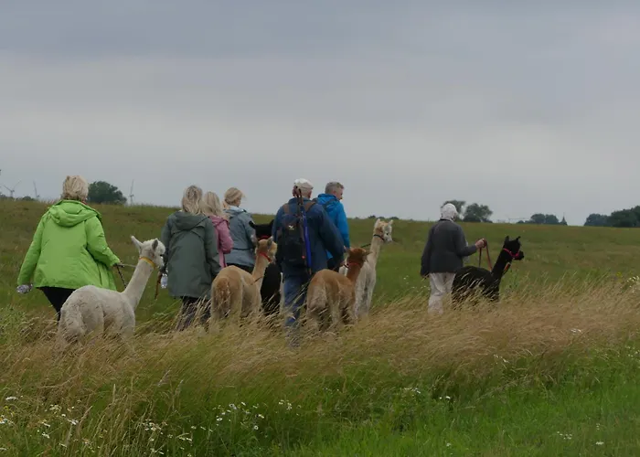 Alpaka-lodge Apartment